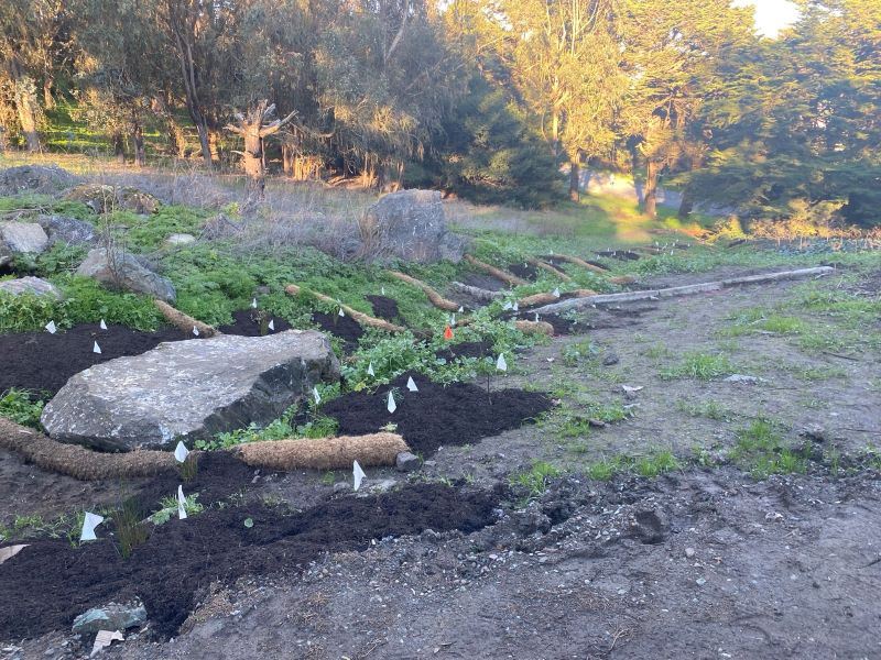 McLaren Trails construction January 2026 (3)