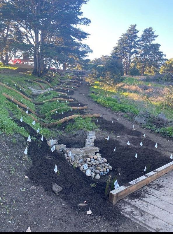 McLaren Trails construction January 2026 (2)