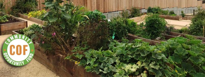 COF Cover Photo_Logo