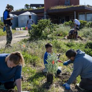 Kids and adults planting and weeding