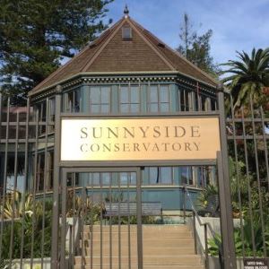 Sunnyside Conservatory gate