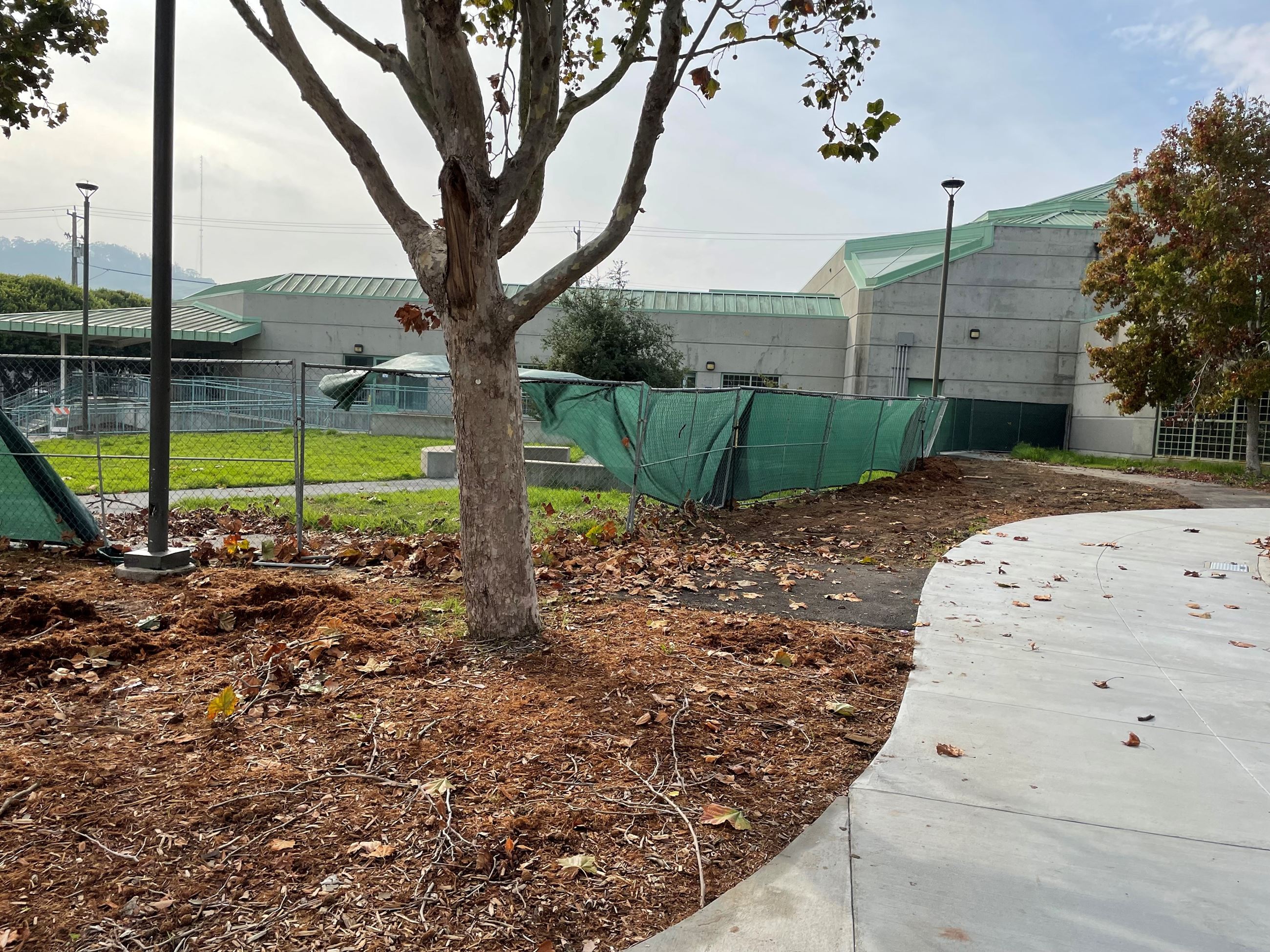 Cement pathway with large tree on the left with construction fencing and lawn in foreground Cement pathway with large tree on the left with construction fencing and lawn in foreground